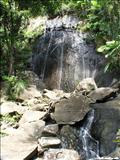Bosque Nacional El Yunque - LUQUILLO